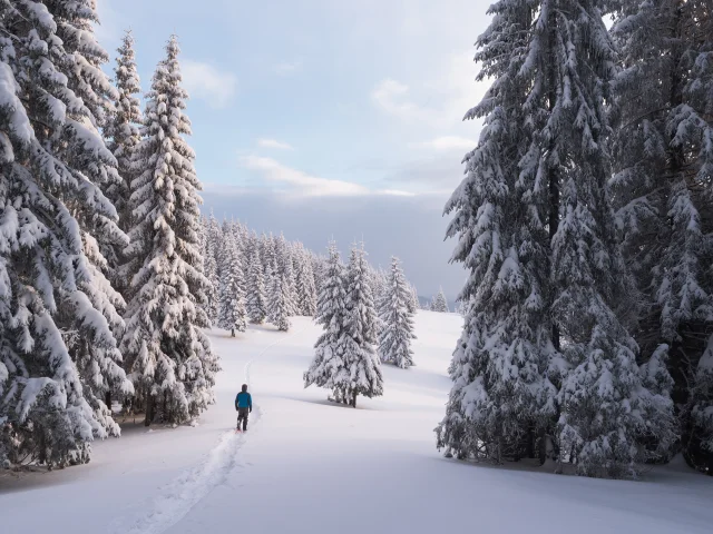 Outdoor Skilanglauf