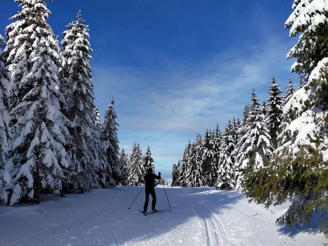 Outdoor Langlaufski