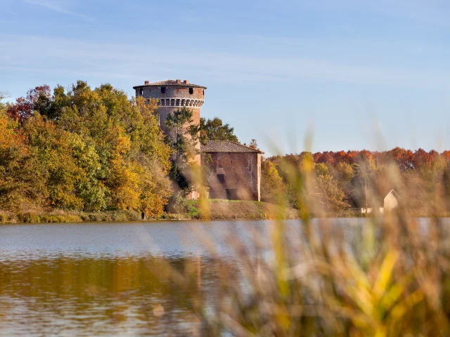 Natural heritage of the Dombes