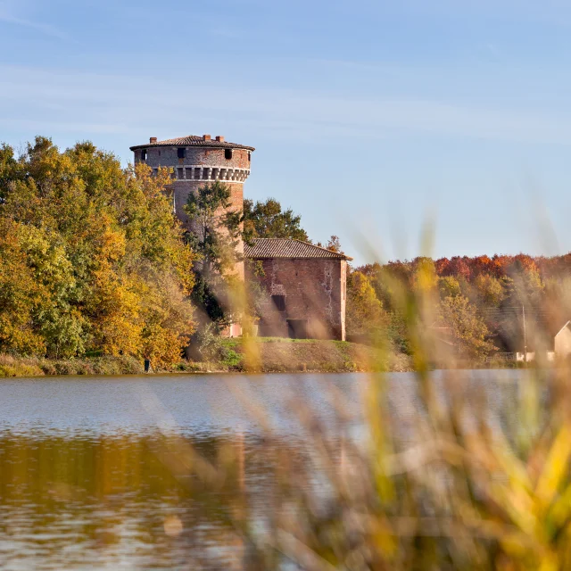 Patrimoine naturel de la Dombes