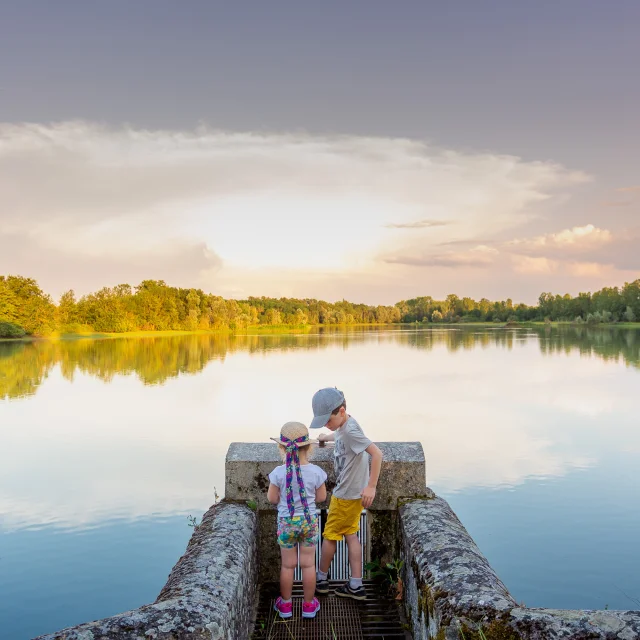 Natural heritage of the Dombes