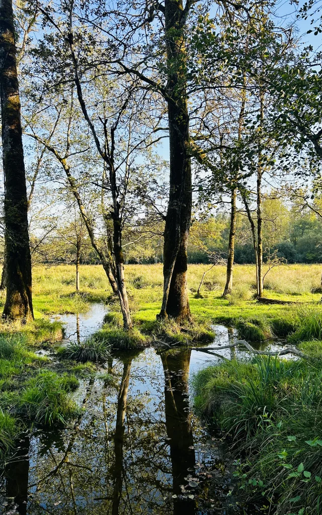 Patrimoine naturel des Marais de Lavours