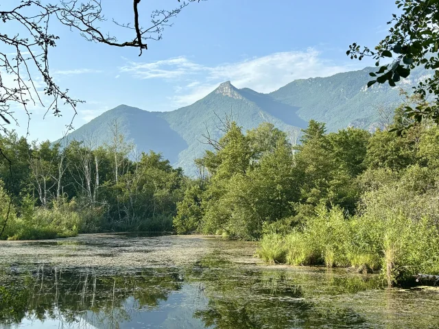 Patrimoine naturel des Marais de Lavours