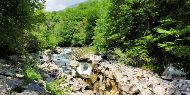 Les Pertes de la Valserine