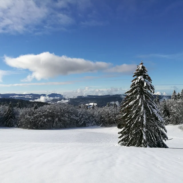 Paysage de Giron en hiver