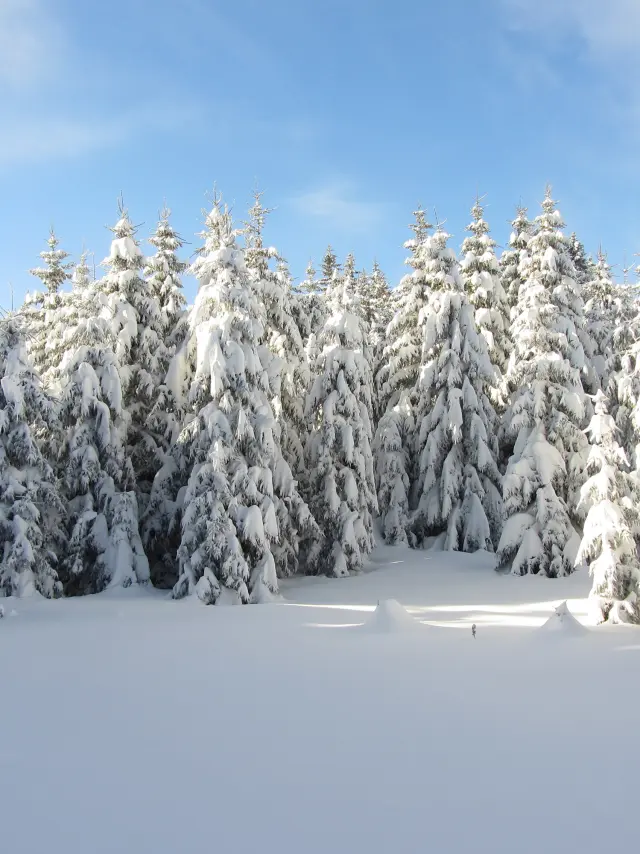 Le Plateau du Retord en hiver