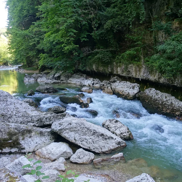 Les Pertes de la Valserine