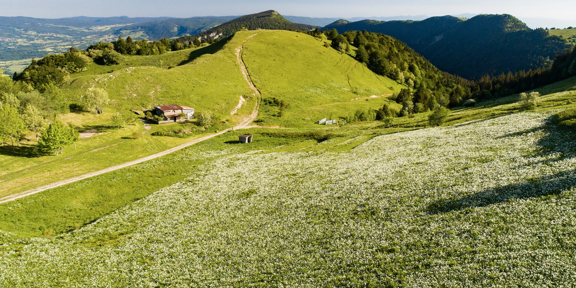 Plateau de Retord