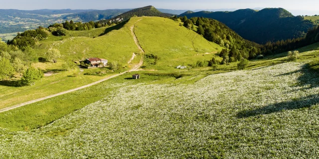 Plateau de Retord