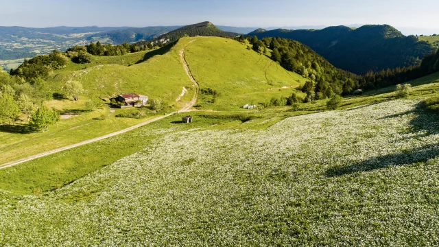Plateau de Retord