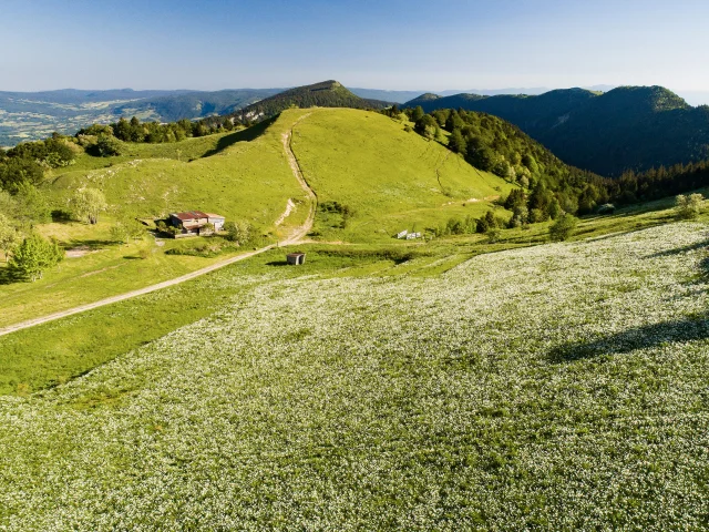 Plateau de Retord