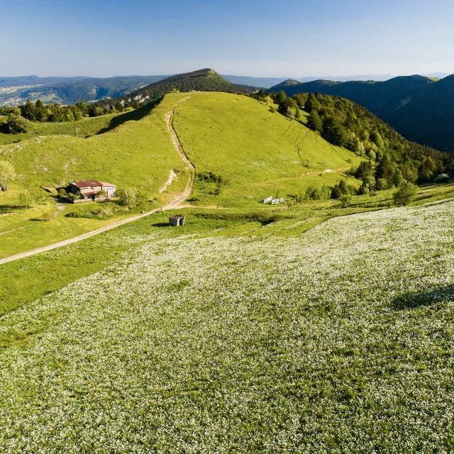 Plateau de Retord