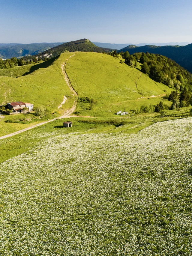 Plateau de Retord