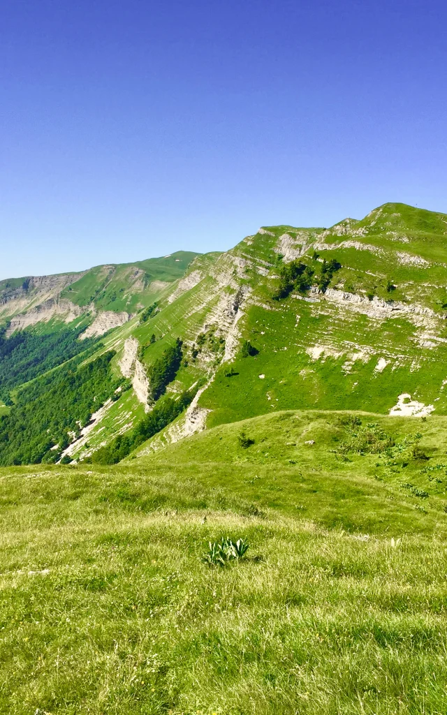 Paysage du Mont Rond
