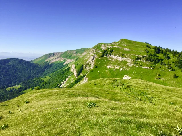 Mont Rond landscape