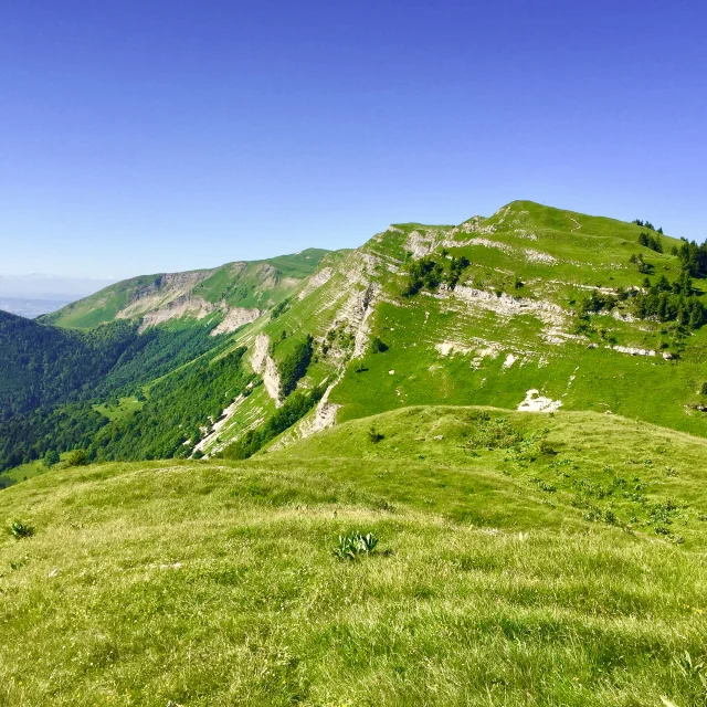 Paysage du Mont Rond