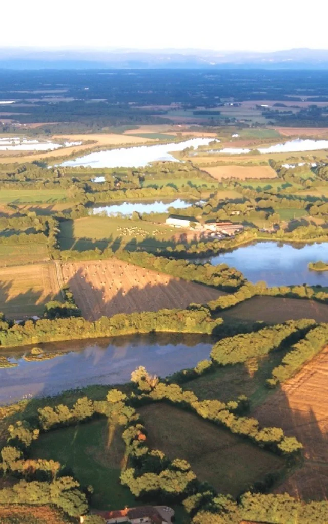 Étangs de la Dombes, vus du ciel