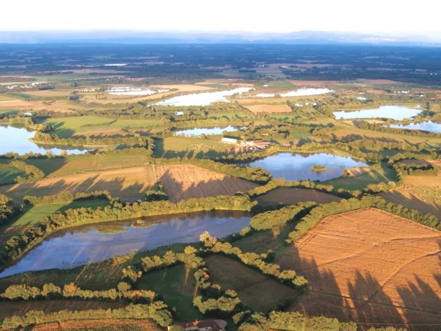 Étangs de la Dombes, vus du ciel