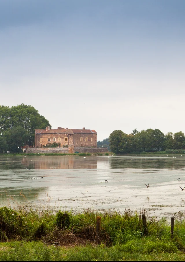 Etang de Bouligneux, in the Dombes region