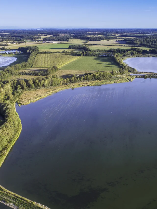 The Dombes, region of 1000 ponds