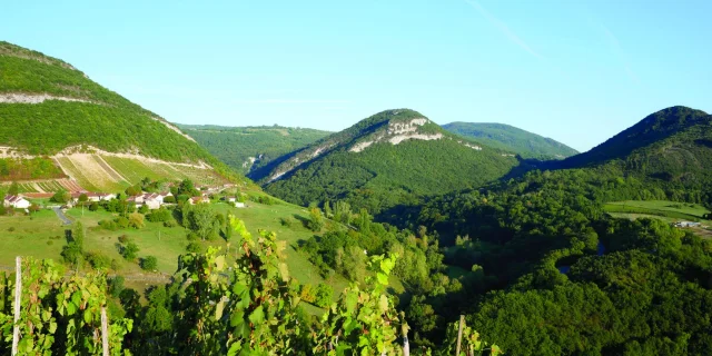 Montagnieu in den Weinbergen von Bugey