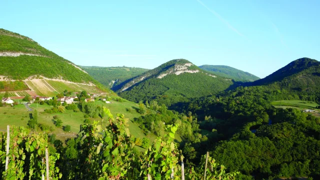 Montagnieu in den Weinbergen von Bugey