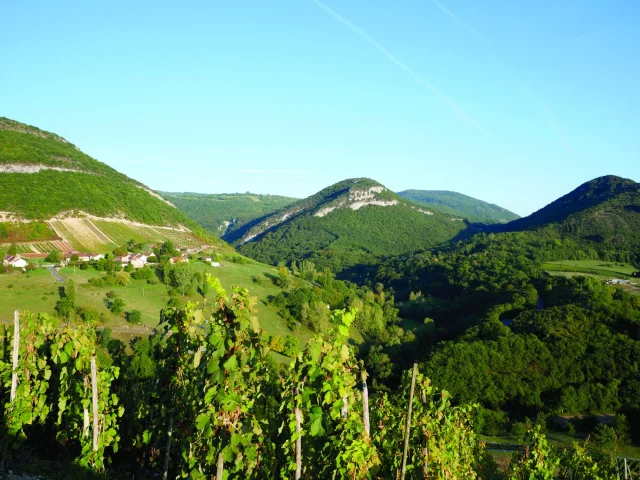Montagnieu in den Weinbergen von Bugey