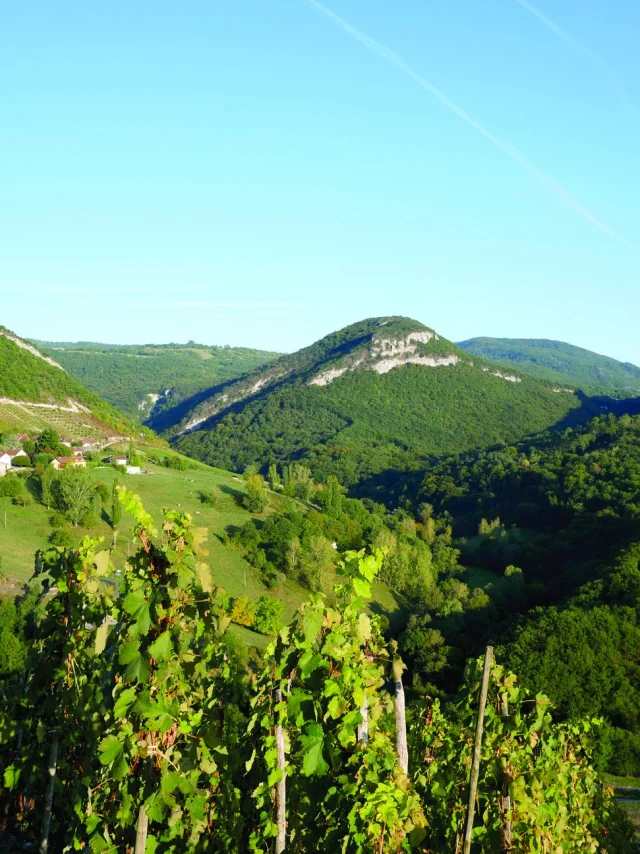 Montagnieu, dans le Vignoble du Bugey
