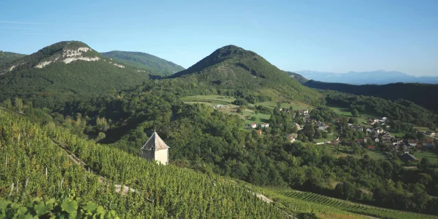 Vignoble du Bugey