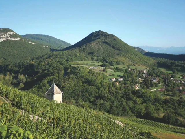Vignoble du Bugey