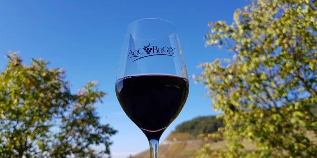 Maison Bonnard Vin