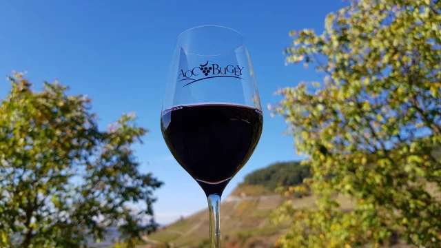 Maison Bonnard Vin