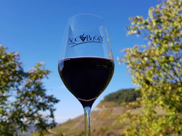 Maison Bonnard Vin
