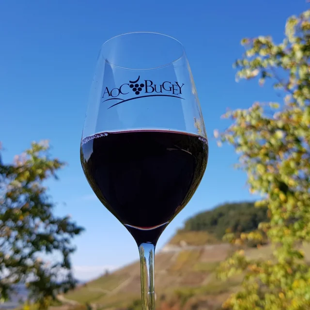 Maison Bonnard Wine