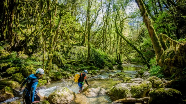 La Pernaz, rivière sauvage