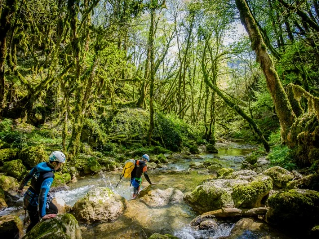 La Pernaz, rivière sauvage