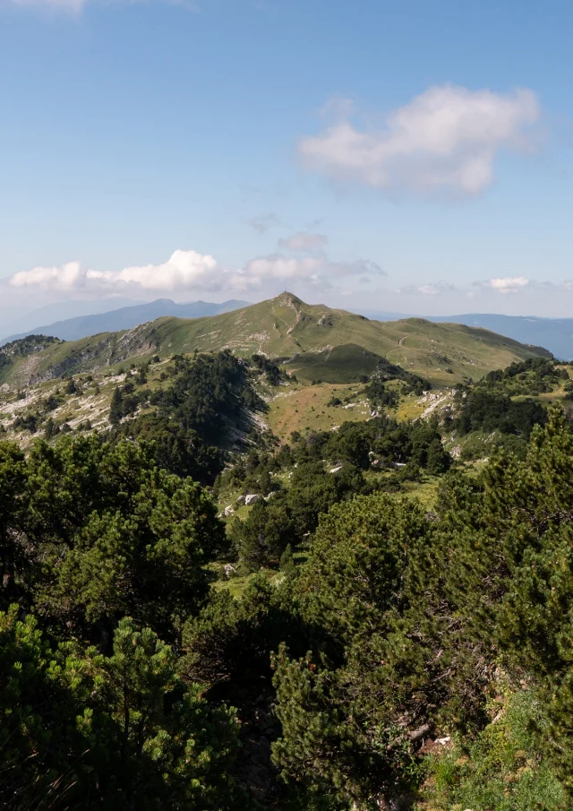 Le Reculet, zweithöchster Gipfel des Juramassivs