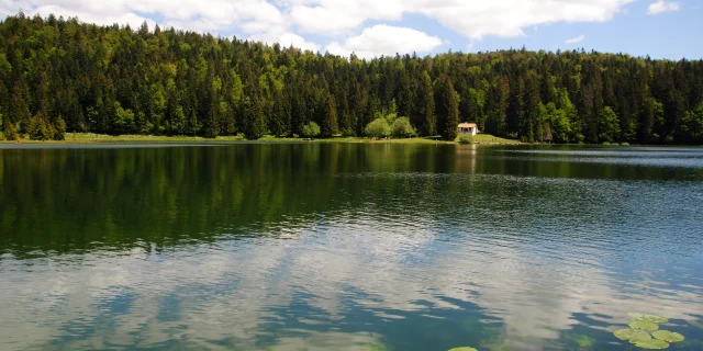 Lac Genin
