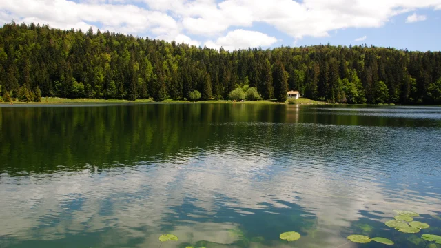 Lac Genin