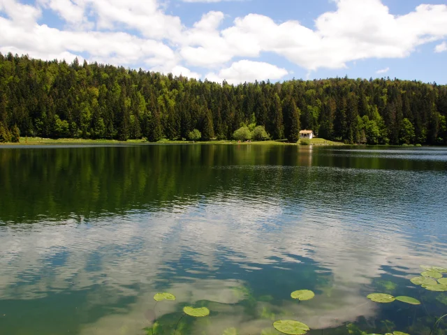 Lac Genin