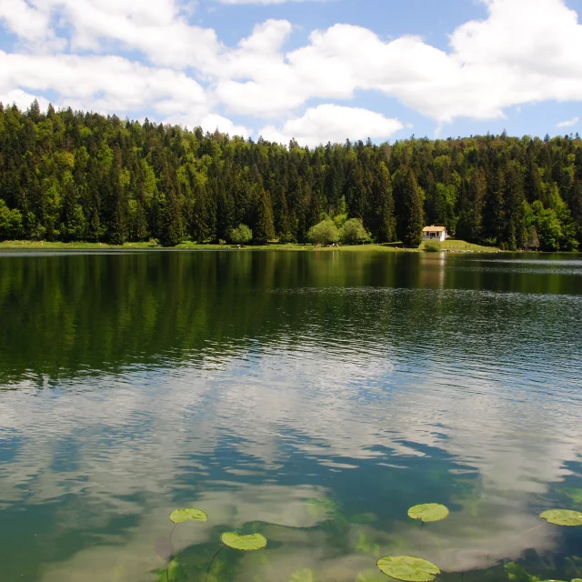 Lac Genin