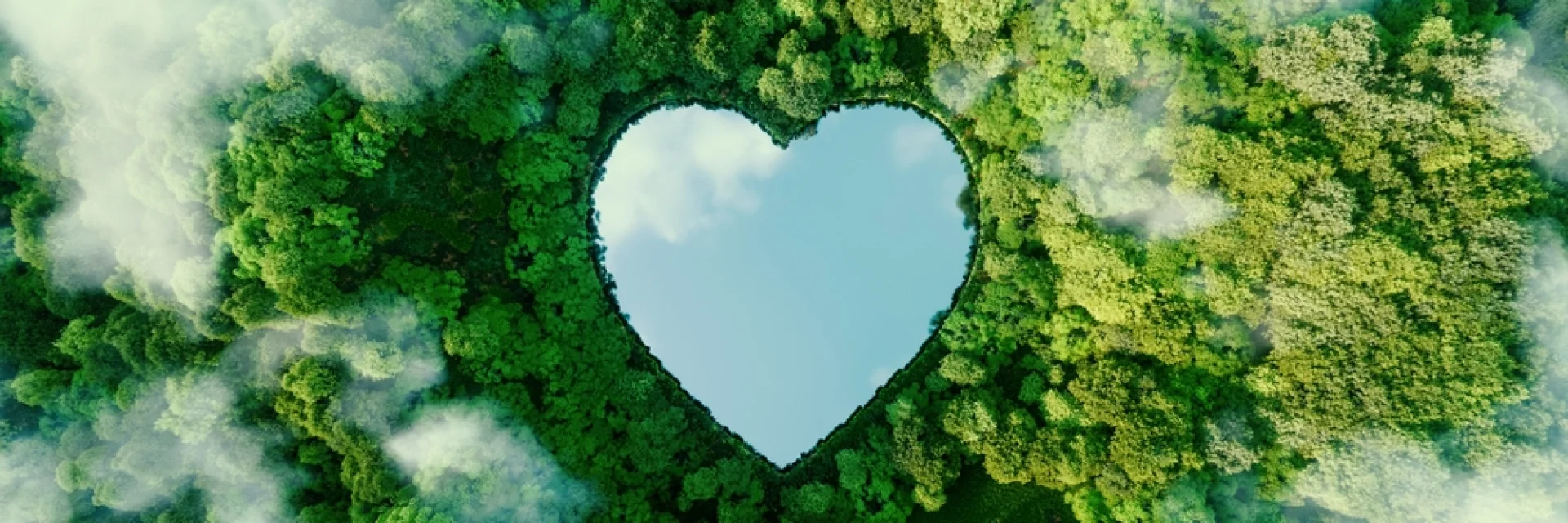 Protégeons la nature, espaces naturels sensibles