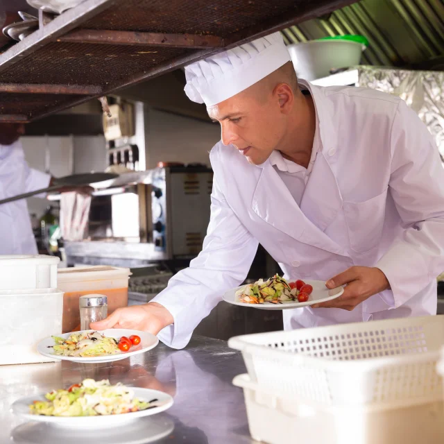 Gastronomie - cuisinier
