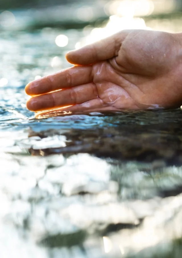 Hand plunging into river water