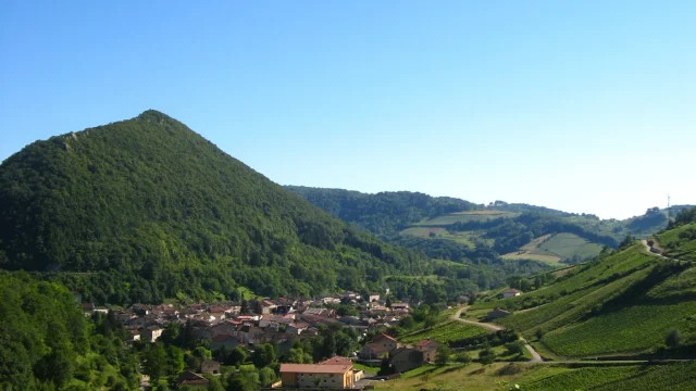 Vignes de Cerdon, Ain