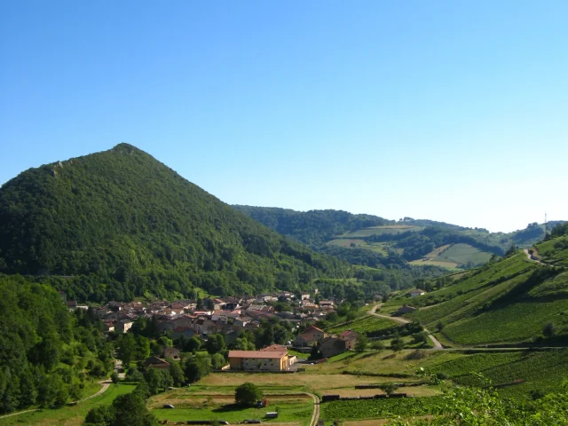 Vignes de Cerdon, Ain