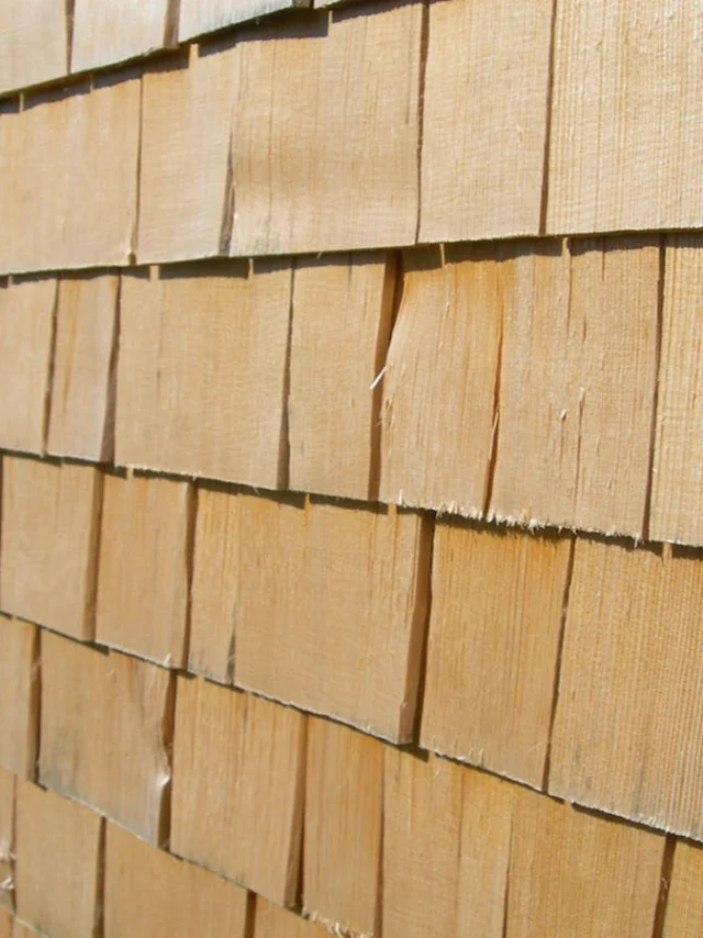 Tavaillon 1600x900 1