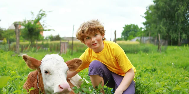 Terroir, veau et adolescent