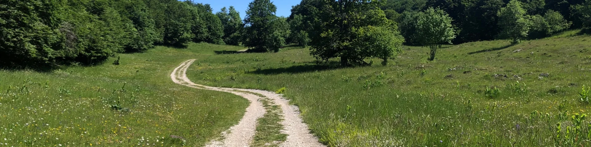 Chemin vers le Crêt du Nu, sur le Plateau de Retord
