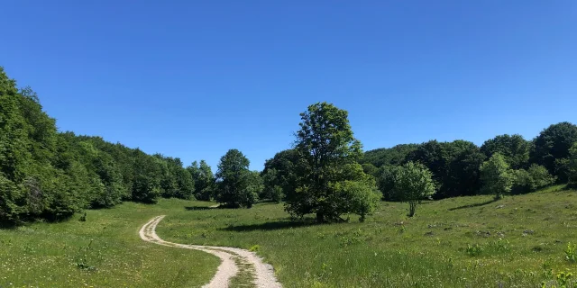 Weg zum Crêt du Nu auf dem Plateau de Retord